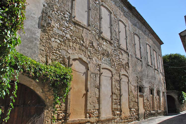  Flaux photo flaux0032b.jpg