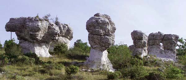  Forcalquier photo forcalq033.jpg