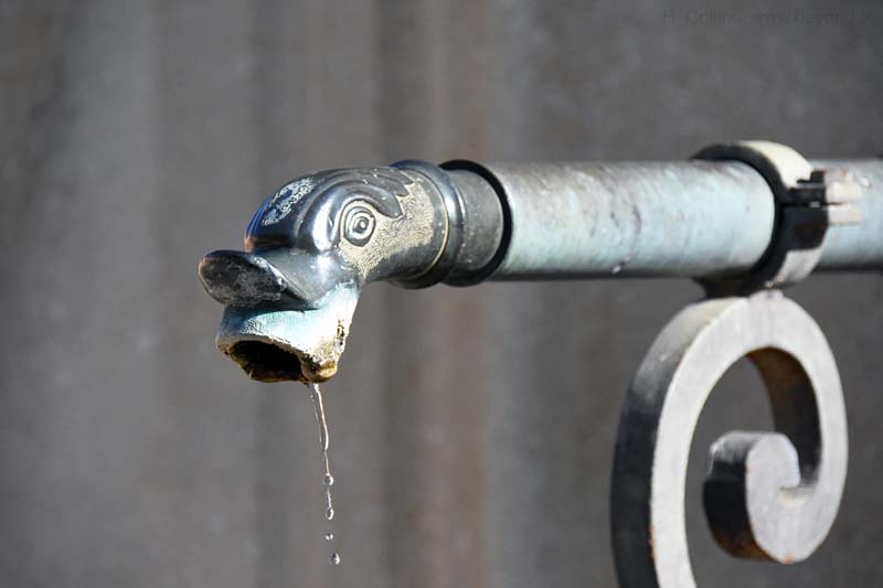  Gargas photo gargas0033b.jpg