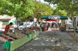 Small Thursday market in Gaujac with