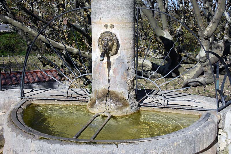  Gigondas photo gigondas0018b.jpg