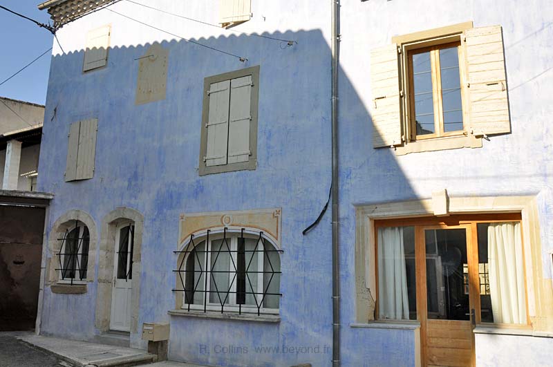  Grillon photo grillon0010b.jpg