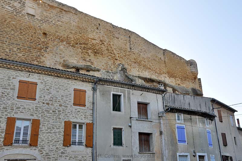  Grillon photo grillon0011b.jpg