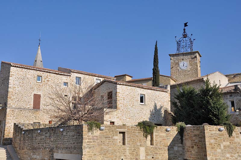  Grillon photo grillon0022b.jpg