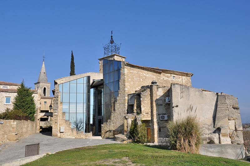  Grillon photo grillon0025b.jpg