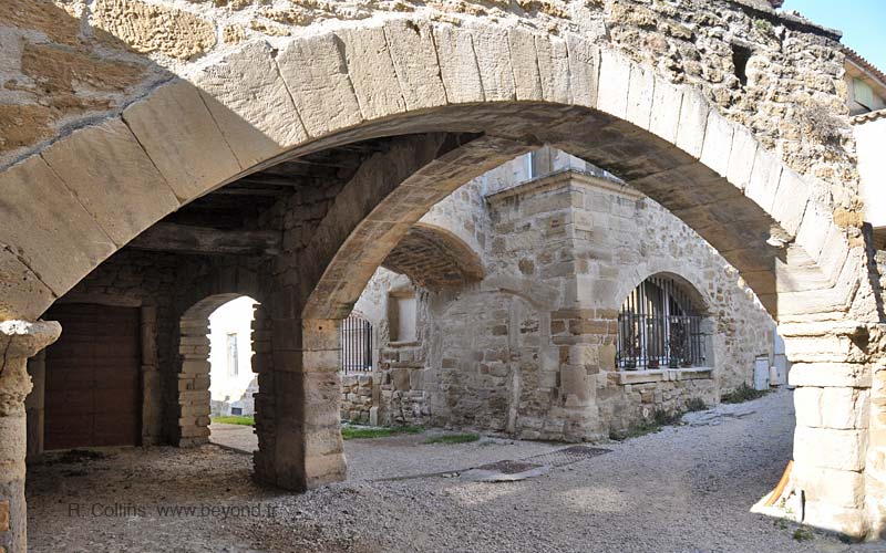  Grillon photo grillon0029b.jpg