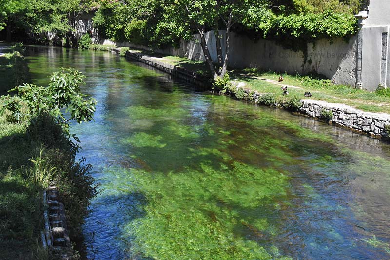  Isle-sur-la-Sorgue photo isle-sur-sorgue0097b.jpg