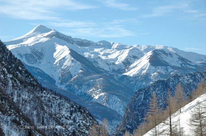  Isola photo isola2k0019b.jpg