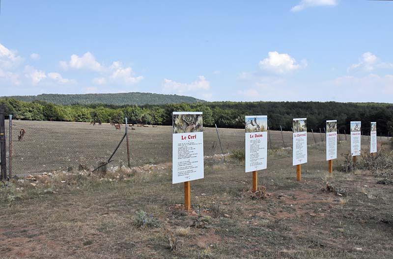  Lagarde-d'Apt photo lagarde-apt-esfourniaux0006b.jpg