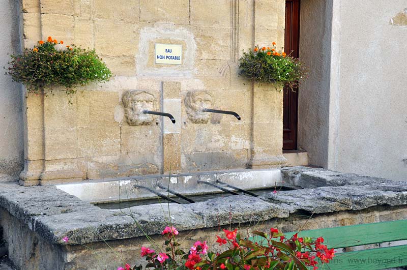  lauris photo lauris0068b.jpg