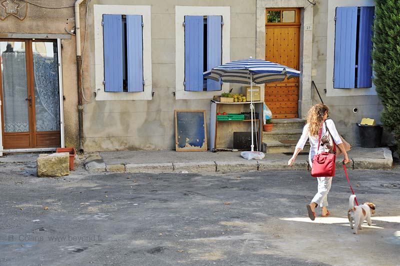  lauris photo lauris0082b.jpg