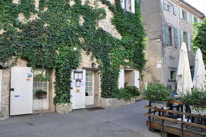  lauris photo lauris0103b.jpg