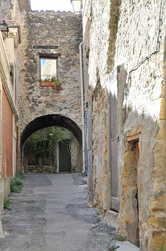  lauris photo lauris0105b.jpg