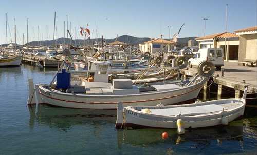  Lavandou photo lavandou041b.jpg