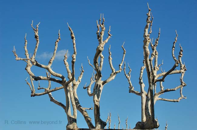  Lorgues photo lorgues0103b.jpg