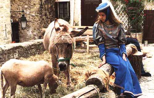  Coaraze photo medmaidenb.jpg