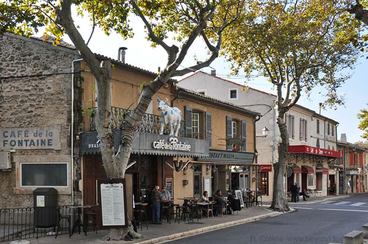  Maussane-lès-Alpilles photo maussane-alpilles0009b.jpg