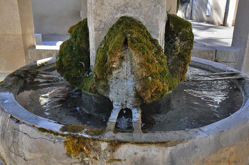  Maussane-les-Alpilles photo maussane-alpilles0084b.jpg