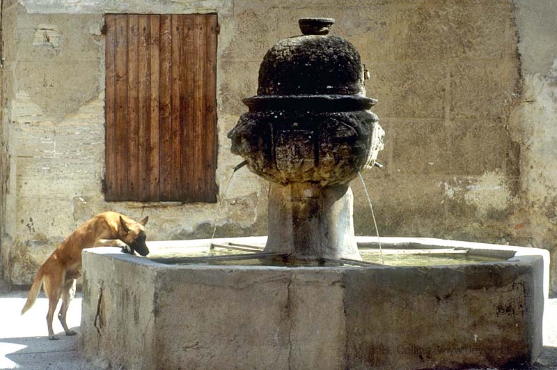  Mazan photo mazan090b.jpg