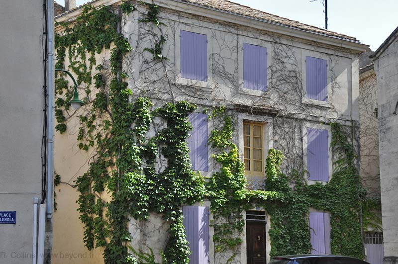  Mondragon photo mondragon0080b.jpg