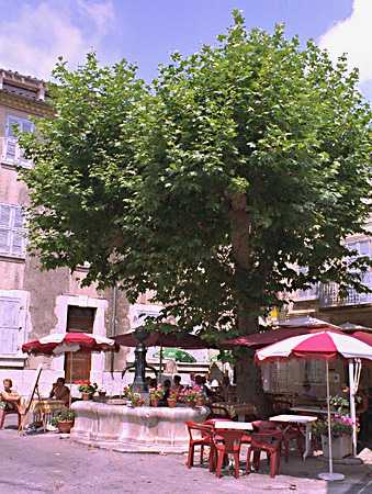  Mons photo monsPlace.jpg