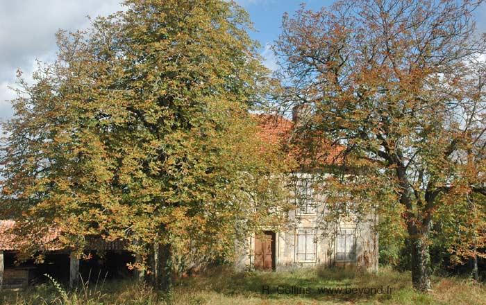  Montamel photo montamel0053b.jpg