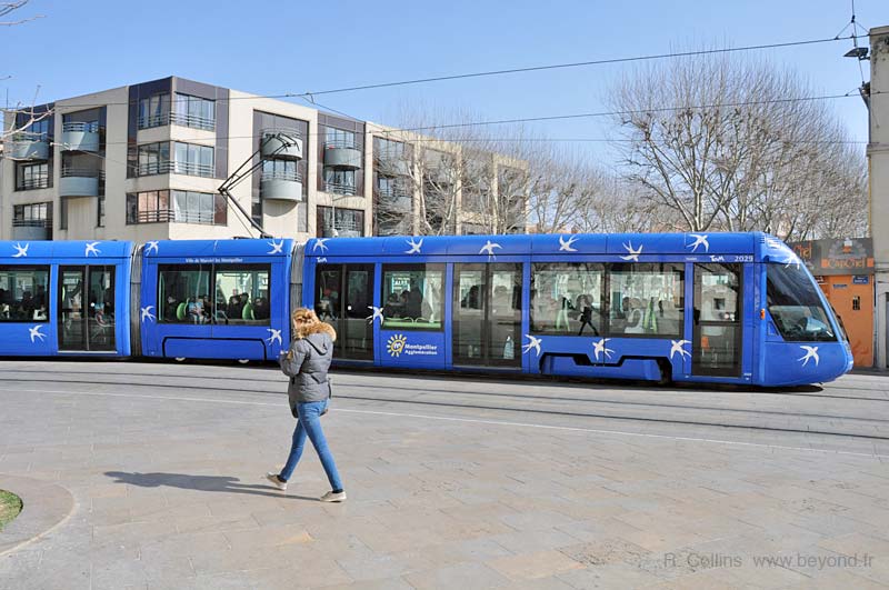  Montpellier photo montpellier-tram0014b.jpg
