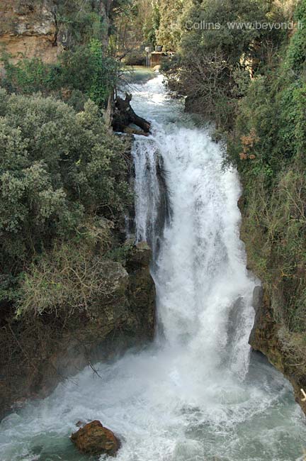  Motte photo motte0038b.jpg