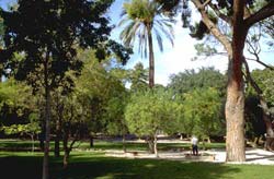 village photo