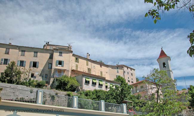  Penne photo penne0004b.jpg