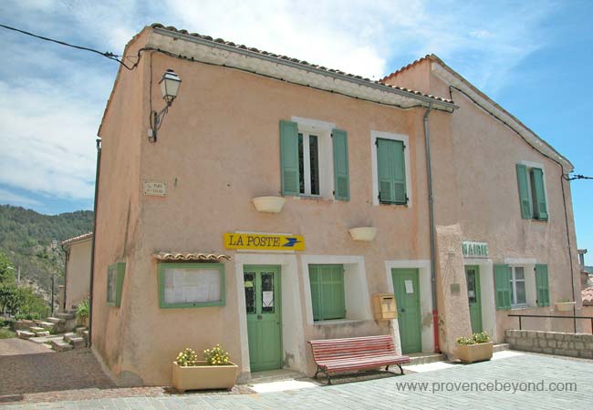  Penne photo penne0013b.jpg