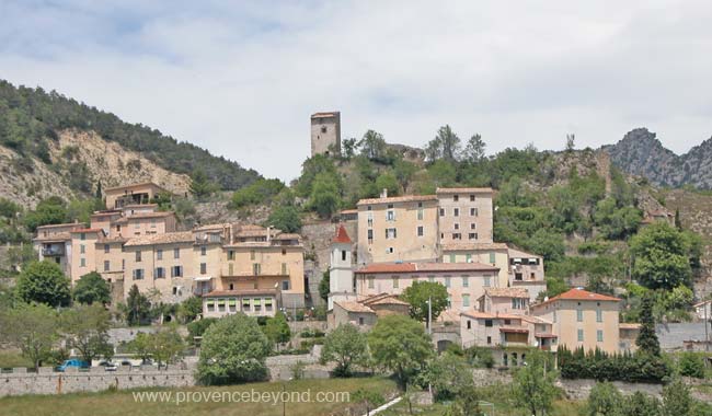  Penne photo penne0041b.jpg