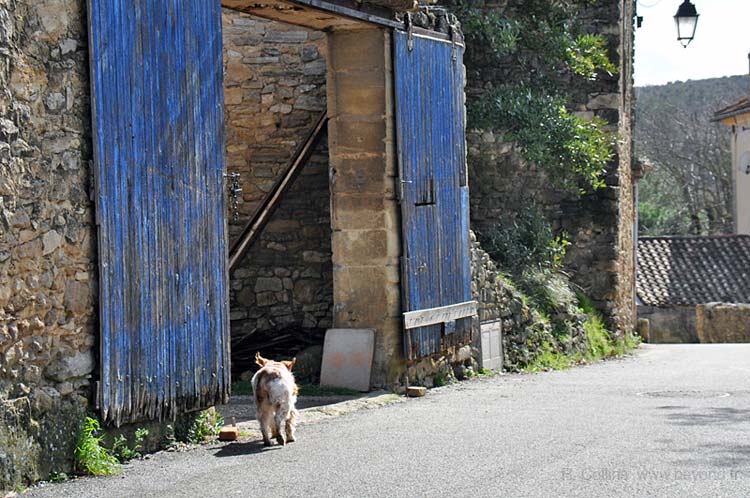  Pin photo pin-village0037b.jpg