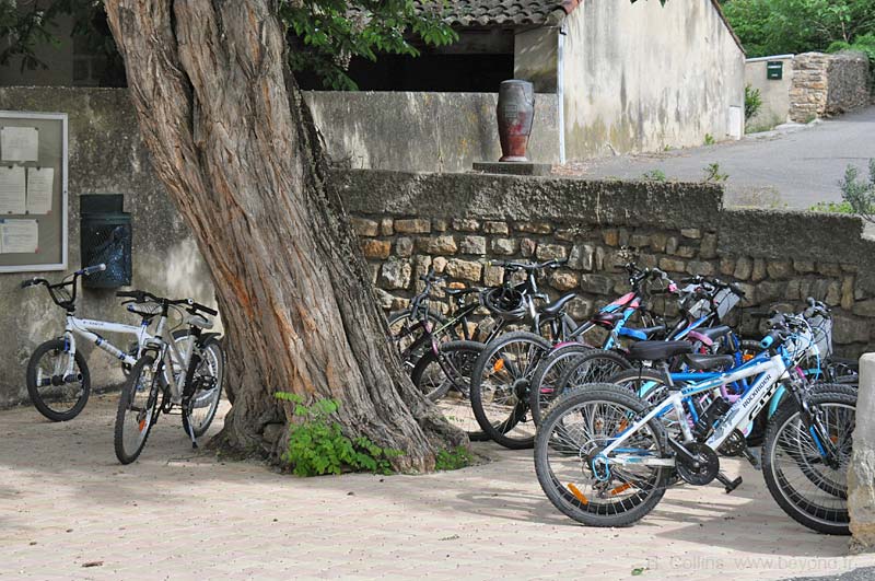  Pin photo pin-village0049b.jpg