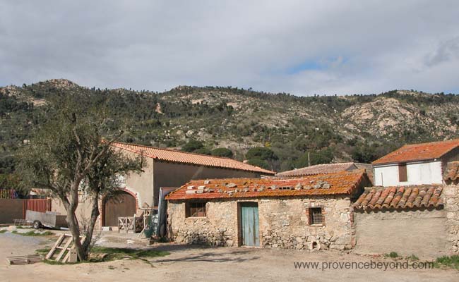  Plan-de-la-Tour photo plantour0049.jpg