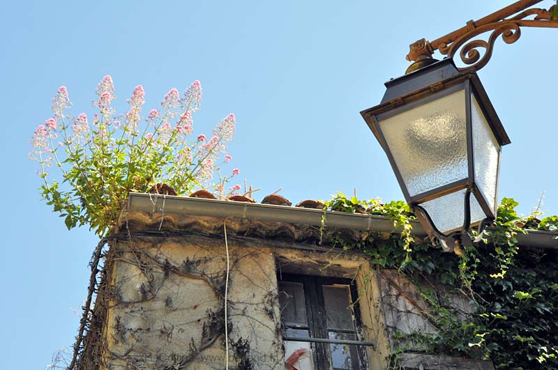  Ramatuelle photo ramatuelle0083b.jpg