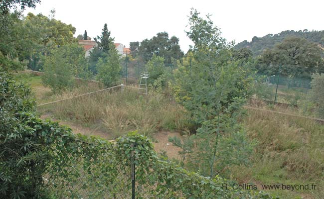  Rayol-Canadel-sur-Mer photo rayolcanadel0020b.jpg