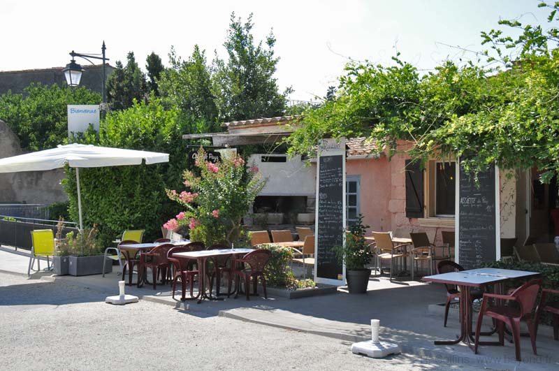  Redorte photo redorte0004b.jpg
