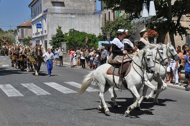  Rognonas photo rognonas-st-eloi0067b.jpg