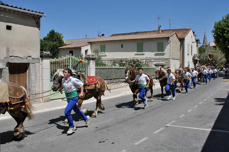  Rognonas photo rognonas-st-eloi0091b.jpg