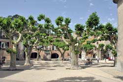 Place Jean Astruc in Sauve