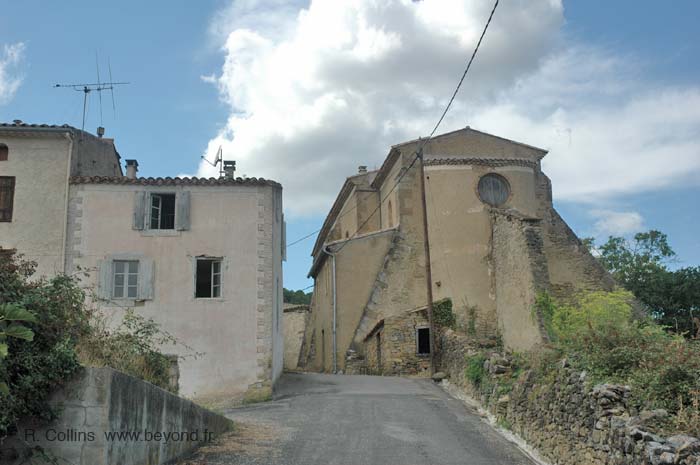  Serpent photo serpent0002b.jpg