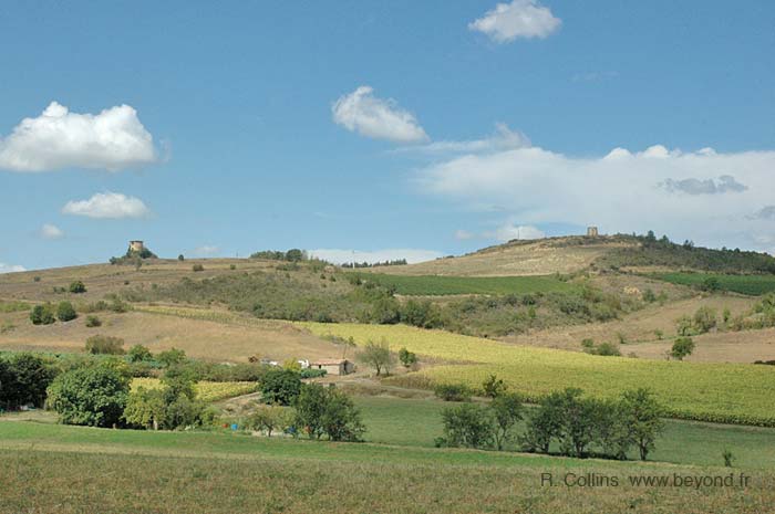  Serpent photo serpent0007b.jpg