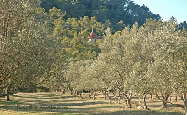  Sillans-la-Cascade photo sillanscascade0041b.jpg