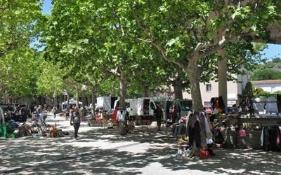 Saturday flea market beneath the plane