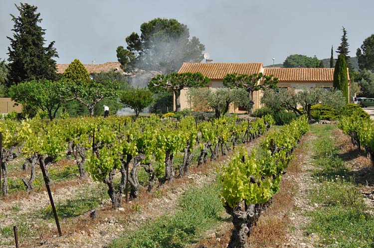  Saint Hilaire-Ozilhan photo st-hilaire-ozilhan0031b.jpg