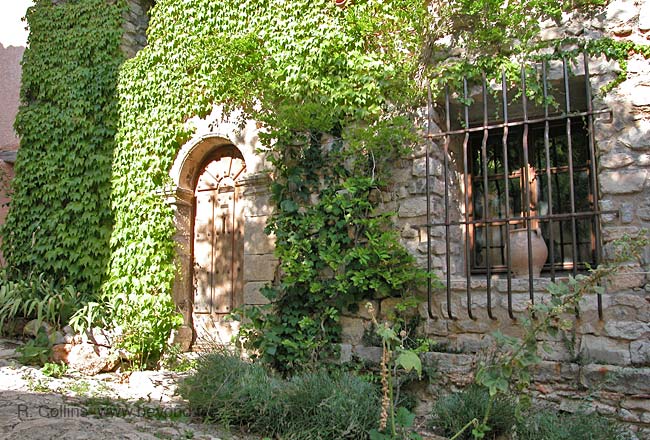  Saint Julien-le-Montagnier photo st-julien0011b.jpg