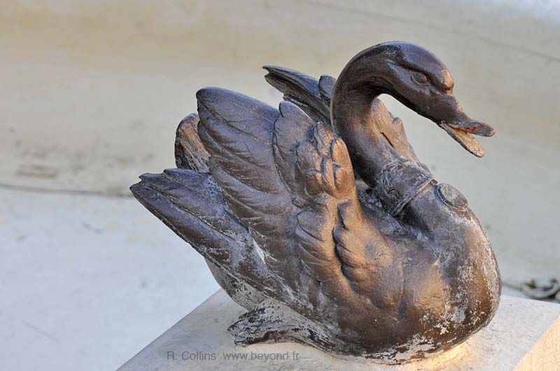  Saint Paul-Trois-Chateaux photo st-paul-trois-chateaux0094b.jpg