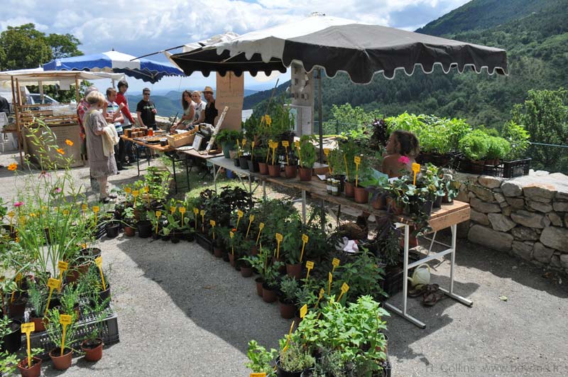  Saint Roman-de-Codières photo st-roman-codieres0048b.jpg