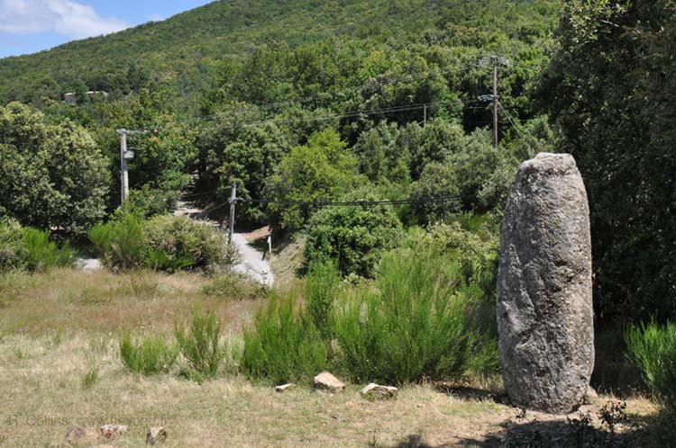  Saint Roman-de-Codières photo st-roman-codieres0068b.jpg